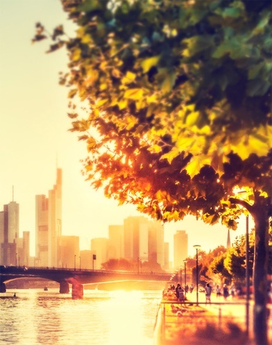 City skyline at sunset